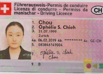 Führerschein beantragen