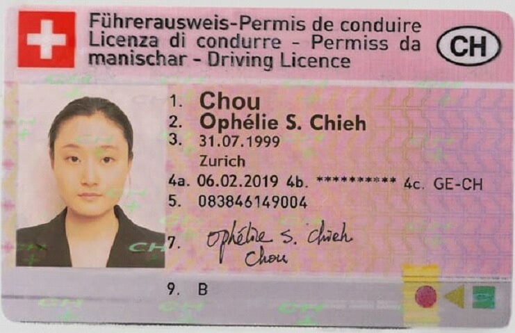A1 Führerschein kaufen